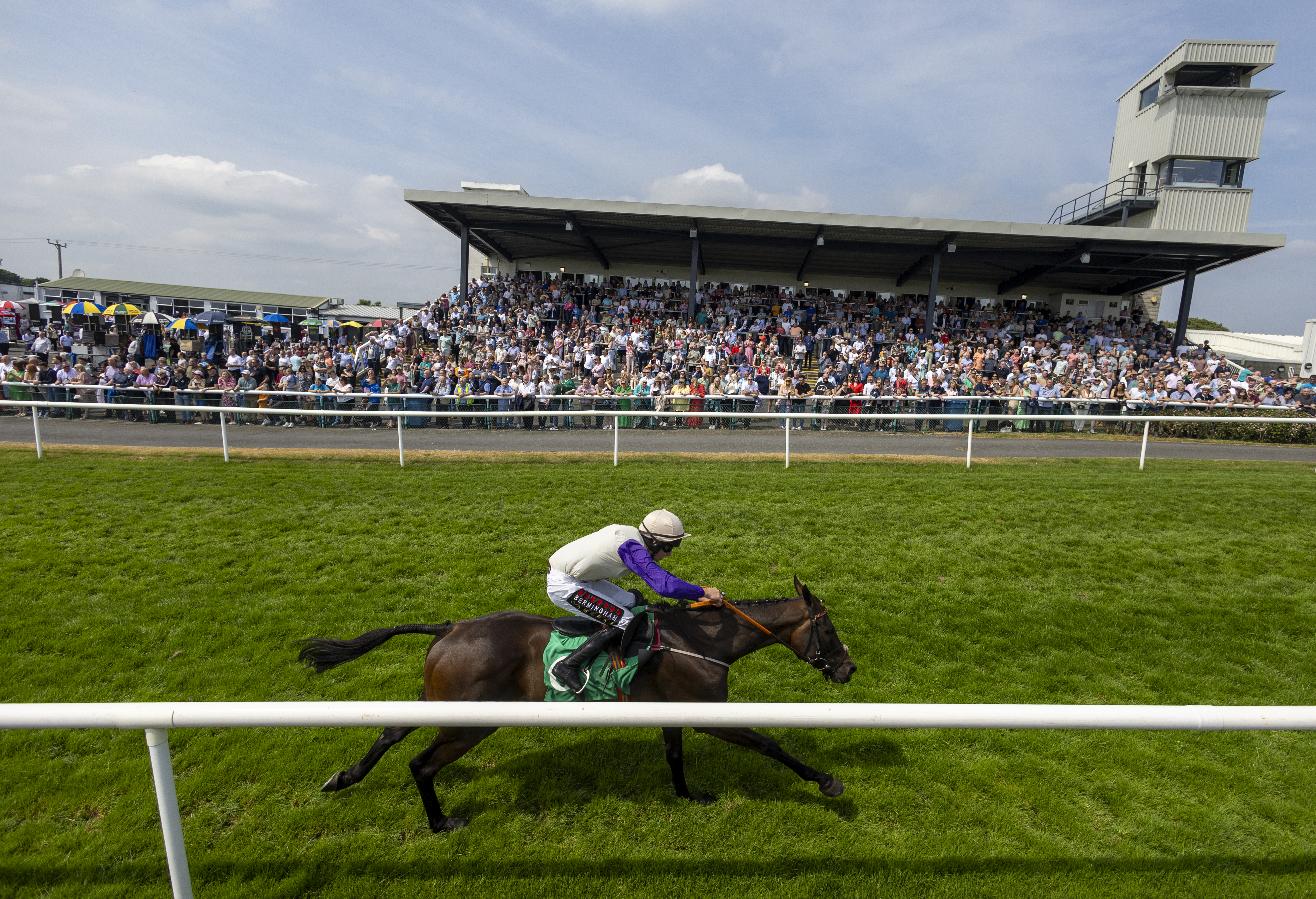 Horse and jockey racing in front of the crowded stands at Downpatrick Racecourse