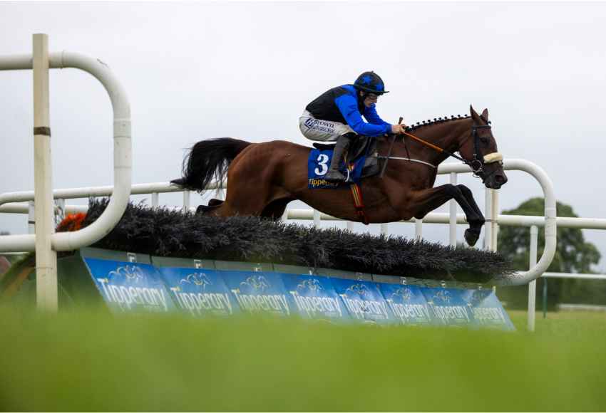 Sean Flanagan onboard horse at Tipperary racecourse
