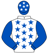 WHITE, royal blue stars, royal blue sleeves, royal blue cap, white stars