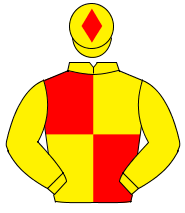 YELLOW & RED QUARTERED, yellow sleeves, red diamond on cap
