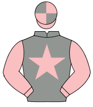 GREY, pink star & sleeves, pink & grey quartered cap