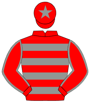 RED & GREY HOOPS, grey seams on sleeves, grey star on cap