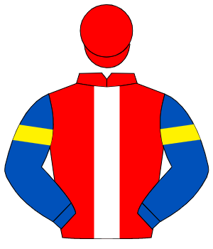 RED, white panel, royal blue sleeves, yellow armlet, red cap